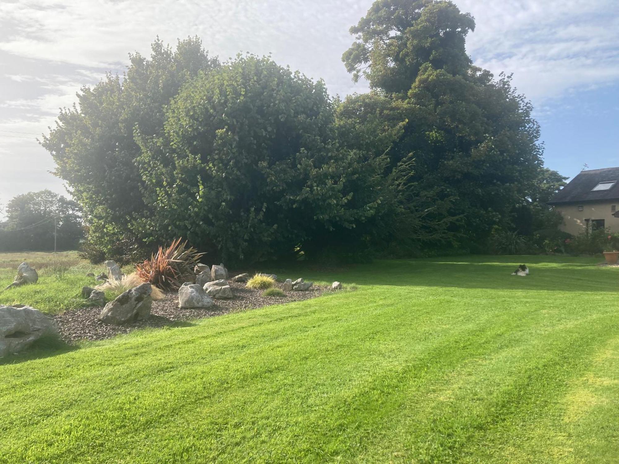 Grove House Country Rooms Shanballymore Dış mekan fotoğraf