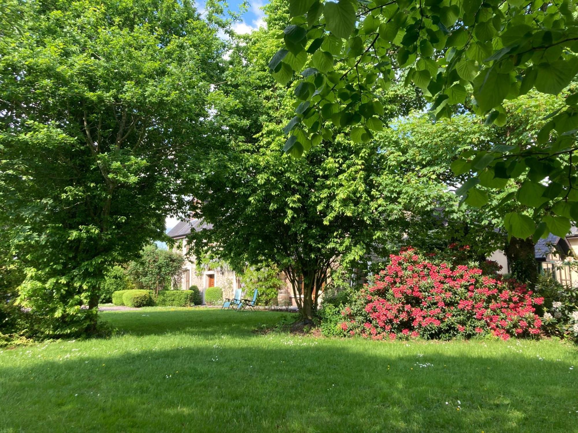 Grove House Country Rooms Shanballymore Dış mekan fotoğraf